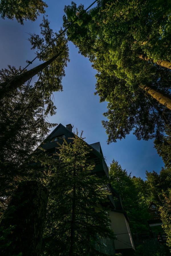 Hotel Smart Sinaia Buitenkant foto