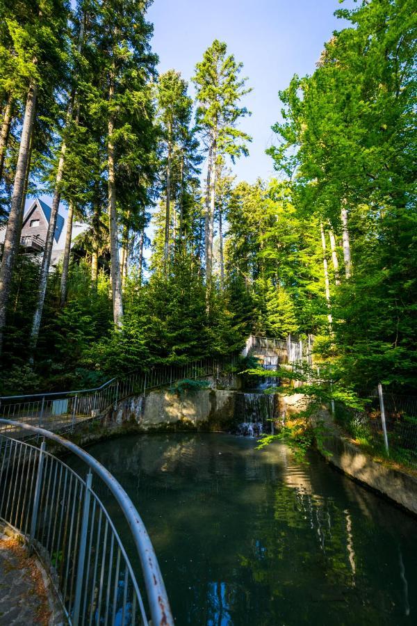 Hotel Smart Sinaia Buitenkant foto
