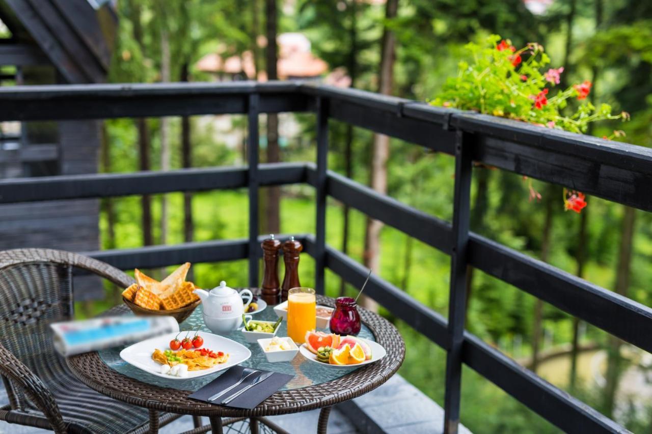 Hotel Smart Sinaia Buitenkant foto